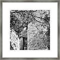 Stone House, Harpers Ferry Framed Print