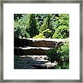 Stone Stairs In Chicago Botanical Gardens Framed Print