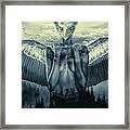 Strange Birds Framed Print