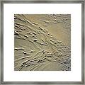 Streaming Beach Sand Ripples Abstract Framed Print