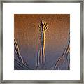 Structures At The Beach In The Light Of The Sunrise Framed Print