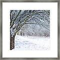 Stunning Forest Snow Winter Scene Framed Print