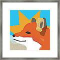 Summer Fox Framed Print