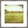 Summer Meadow Framed Print