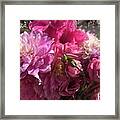 Summer Pink Bouquet Framed Print