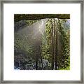 Sun, Fog And Rain Framed Print
