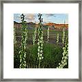 Sun Setting On Yuccas And Book Cliffs Framed Print