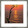 Suncatcher -  Dead Tree Grasps The Rising Sun At Cave Point Park In Door County Wi Framed Print