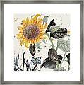 Sunflower And Dragonfly Framed Print