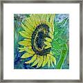 Sunflower Smiles Framed Print