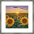 Sunflowers At Sunset Framed Print