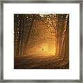Sunlight Passing Through Trees In Autumn Framed Print