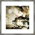 Sunlight Through The Rainforest Canopy Framed Print