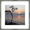 Sunrise In The Sunderbans Framed Print