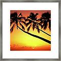 Sunset At Tropical Beach, Barbados Framed Print