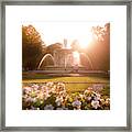 Sunset In The Saxon Garden Framed Print