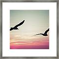 Sunset Framed Print