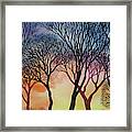 Sunset Lace Ix Framed Print