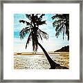 Sunset On Beach With Palms Framed Print