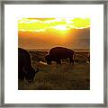 Sunset On The Plains Of Colorado Framed Print