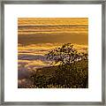Sunset Over The Clouds, Los Padres National Forest, California Framed Print