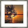 Sunset Painting Framed Print