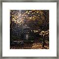 Sunshine Over Fall Garden Framed Print