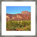 Superstitious Afternoon Framed Print