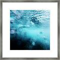 Surfer Catching A Wave Framed Print