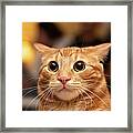 Surprised Cat Framed Print