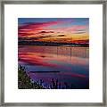 Sunset In The Pines Lands Framed Print