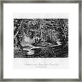Swallows In The Banks Of The River Framed Print
