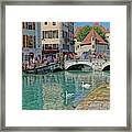 Swans Swimming In Annecy Framed Print