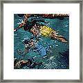 Swimming In The Bahamas Framed Print