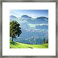 Switzerland, Bernese Oberland, Tree On Framed Print
