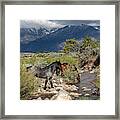 _t__1157 Framed Print