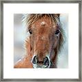 Emmie #1 Framed Print