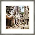 Ta Prohm Temple, Angkor, Cambodia, Asia Framed Print