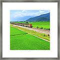 Taiwans Famous Rice Producing Regions Framed Print