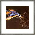 Taking Off Framed Print