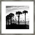 Tampa, Florida Framed Print