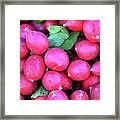 Tangy Red Root Framed Print