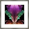 Technicolor Flower Abstract Framed Print