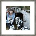 Teenage Girl Laughing While Petting Goats In Farm Setting Framed Print