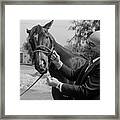 Telly Savalas With Racehorse Tellys Pop Framed Print