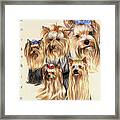 Terrier Framed Print