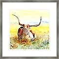 Texas Longhorn, Bluebonnets And Sunshine Framed Print