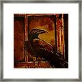 Th Raven - Nevermore Framed Print