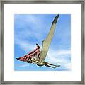 Thalassodromeus Prehistoric Bird Flying Framed Print