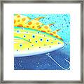 The Alluring Lure Framed Print